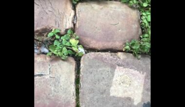 Pulsed fiber laser stone cleaning