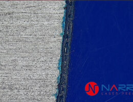 Selektivní odstraňování barvy