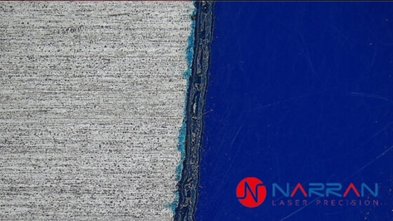 Selektivní odstraňování barvy